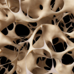 Frozen in Time: Ancient Marine Creature Discovered in Jurassic Fossil Beds in Germany