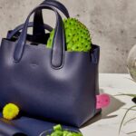 The Quiet Art of Daily Renewal: Small Health Habits That Transform Your Life