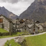 Laughing in the Wild: 7 Animals That Giggle, Chuckle, and Sound Surprisingly Human