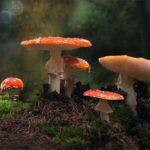 The New Neutral: Why “Vanilla Yellow” Is the Global Hue of 2026